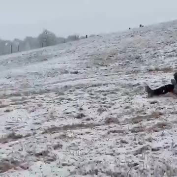 Ethan, Kyle, and Eli Ice sledding!
