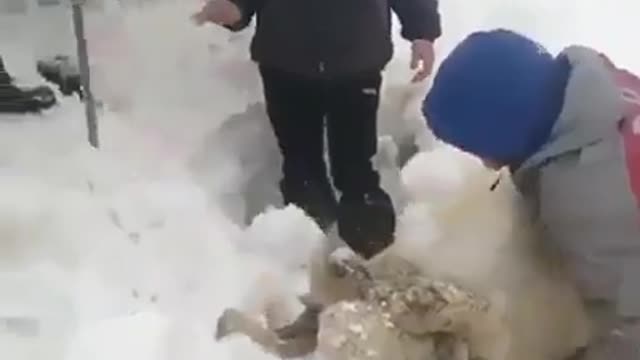 Snow damage in Morocco