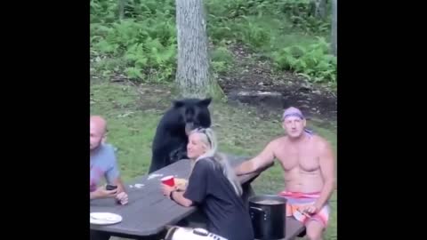 UNBELIEVABLE Bear Attacks & Interactions CAUGHT ON CAMERA!