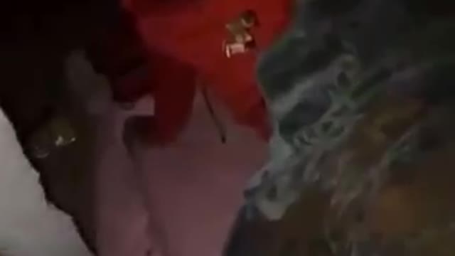 Best Funny Video. It will make you laugh