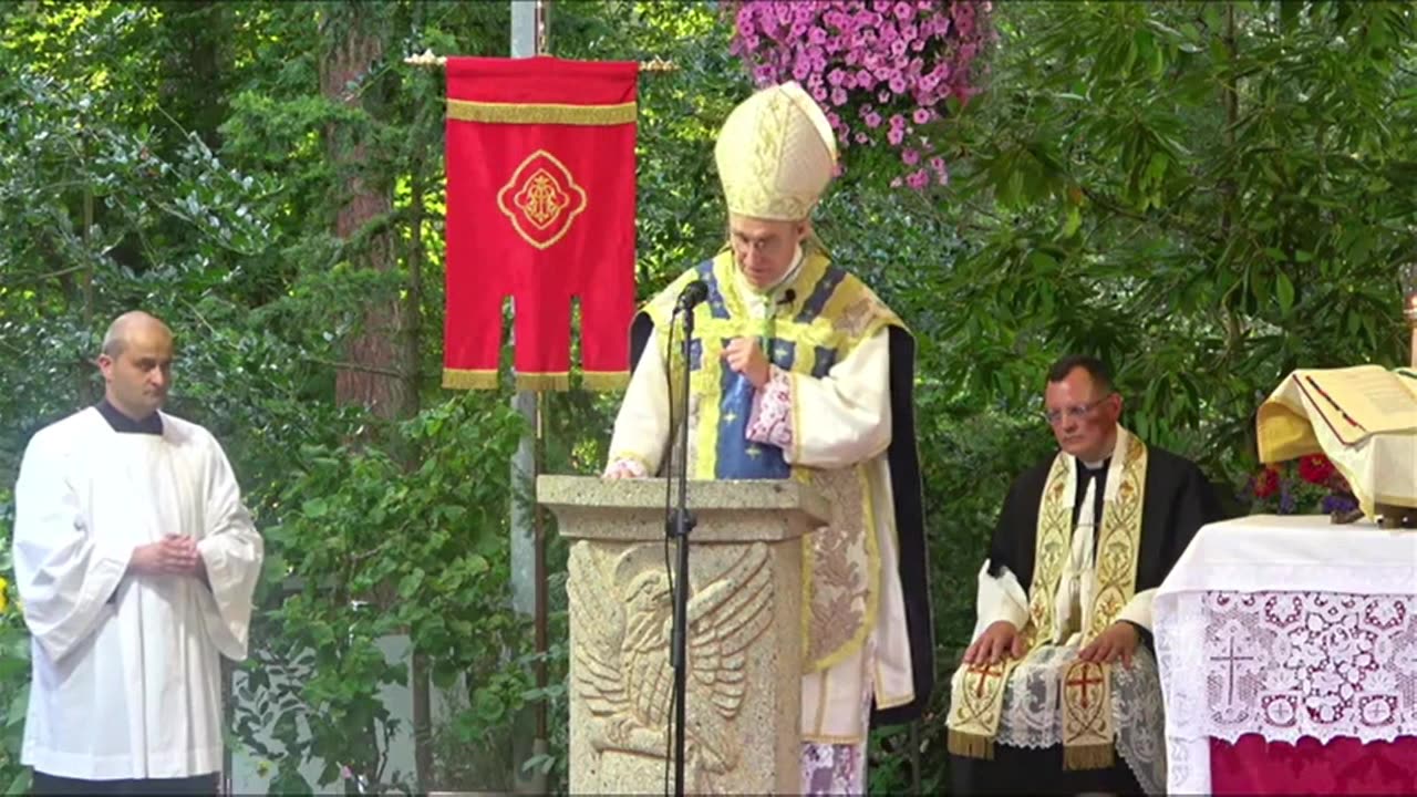 Gänswein "Widerspruch ist ein Zeichen der Echtheit, der Wahrheit und vor allem auch der Standfestigkeit"