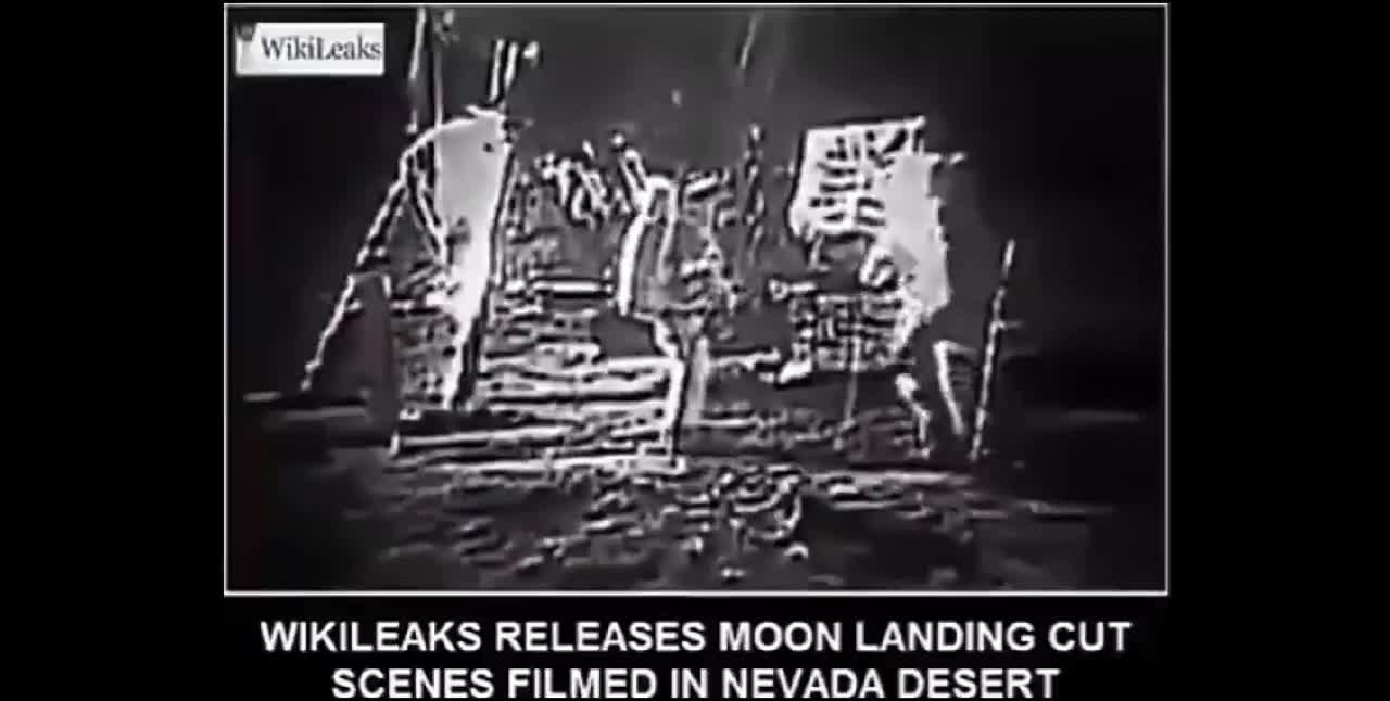 WikiLeaks Moonlanding