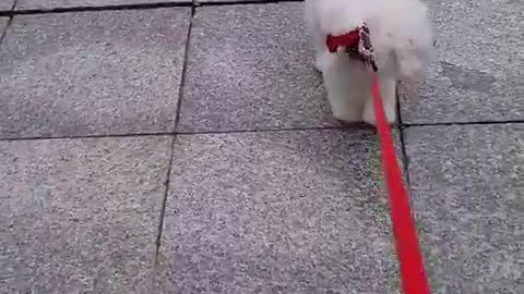 I like walking