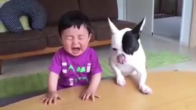 baby and cats funny moments