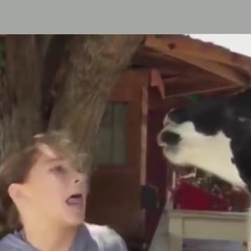 fie on you out of tune sing