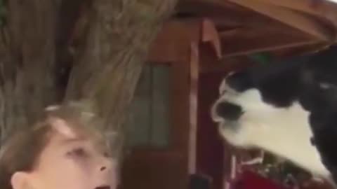fie on you out of tune sing