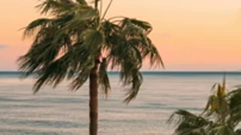 Songs to relax