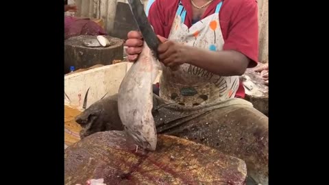 Amazing Fish CUTTING 😱😱#shorts #kasimedu #fish #trending #viral #ride4taste