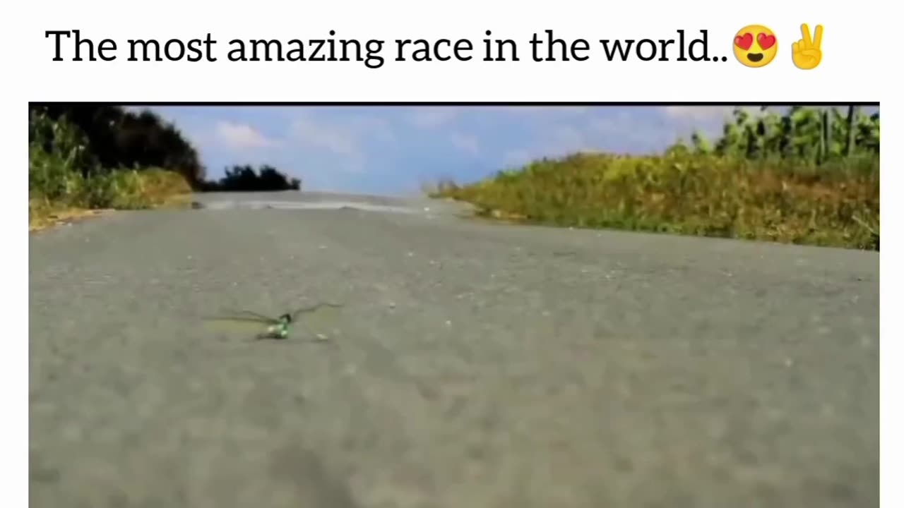 Amazing race in the World 🌍