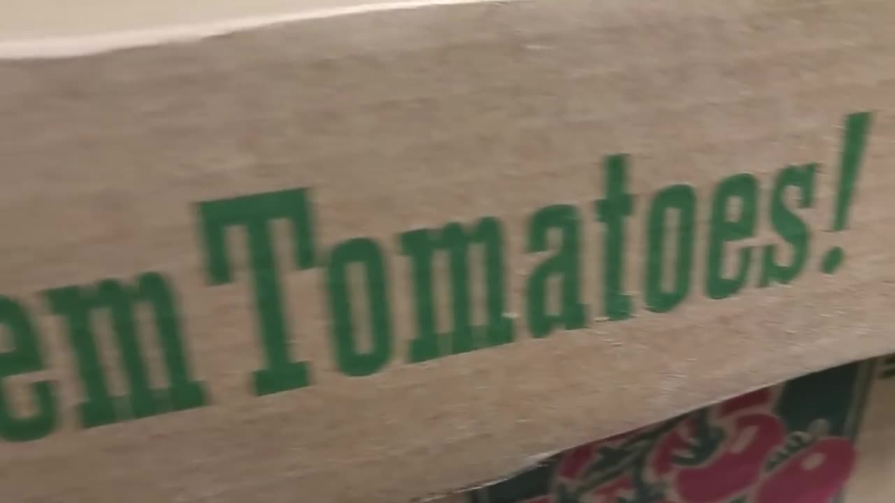 How Bout Dem Other Apples!