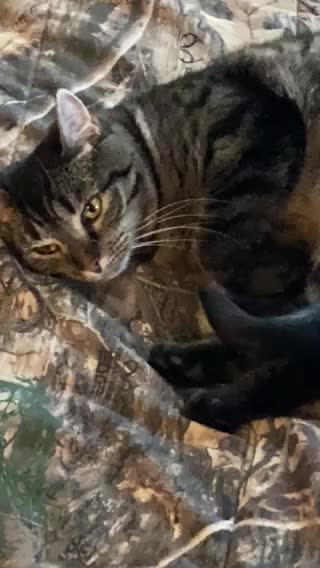 Feeling watched sweetpea?