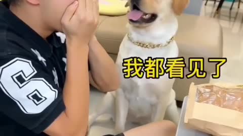 Dogs love bites....😄😄😄