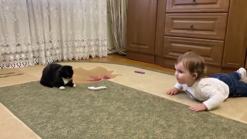 Cute_Baby_Trying_to_Kiss_a_Kitten