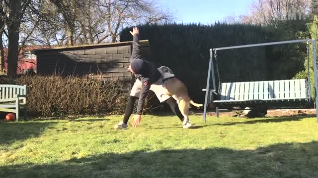 Try Not to Laugh Challenge Funny Fails Fails of the Week