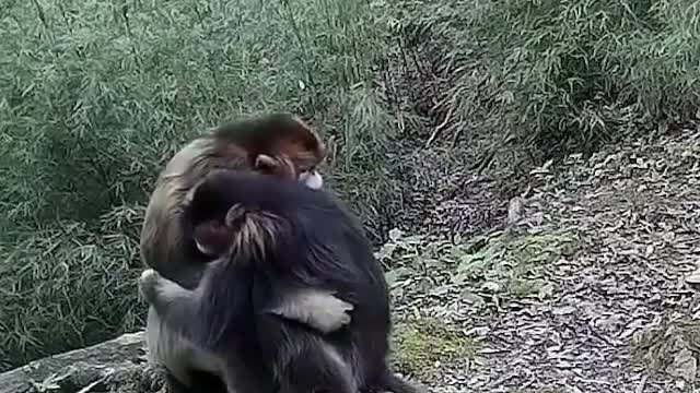 The most heartwarming thing you’ll see today!