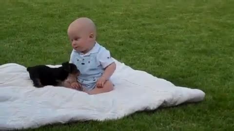 Puppy and baby playing in the park