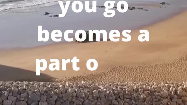 Co-Do Chill, Daily Motivation, Travel Quote
