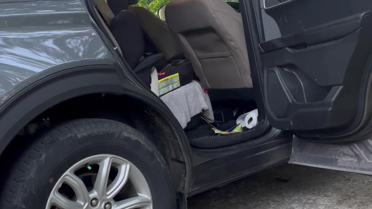 Baby Bears Exit The Car