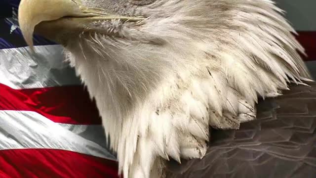 1879. EXAMPLE 🔴THE SATANIC DEMOCRAT PARTY. Leftism Liberalism Progressive