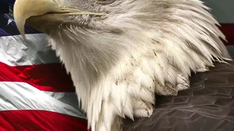 1879. EXAMPLE 🔴THE SATANIC DEMOCRAT PARTY. Leftism Liberalism Progressive