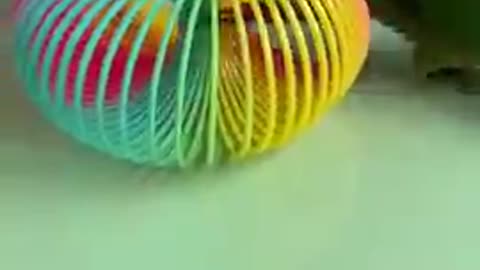 Cut Baby Smart Parrot Video #funny #shorts
