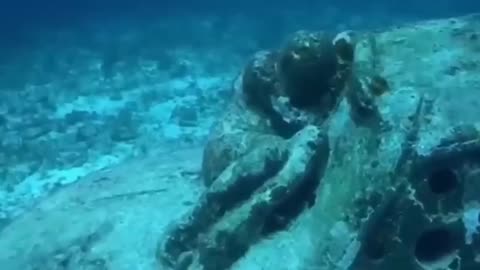 See What They Found Deep Under This Ocean , That Scientists Are Still Trying To Identify