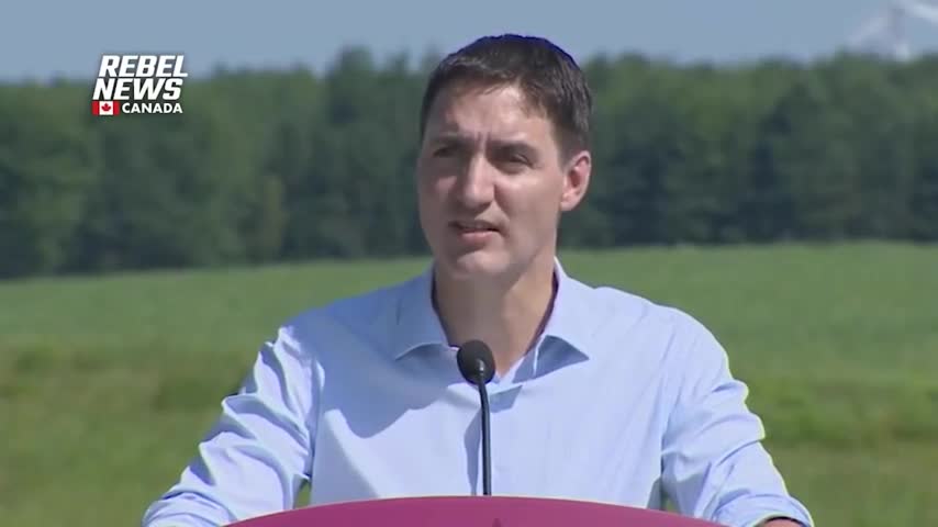 REACTIONS: Do Ottawa residents approve of Justin Trudeau?