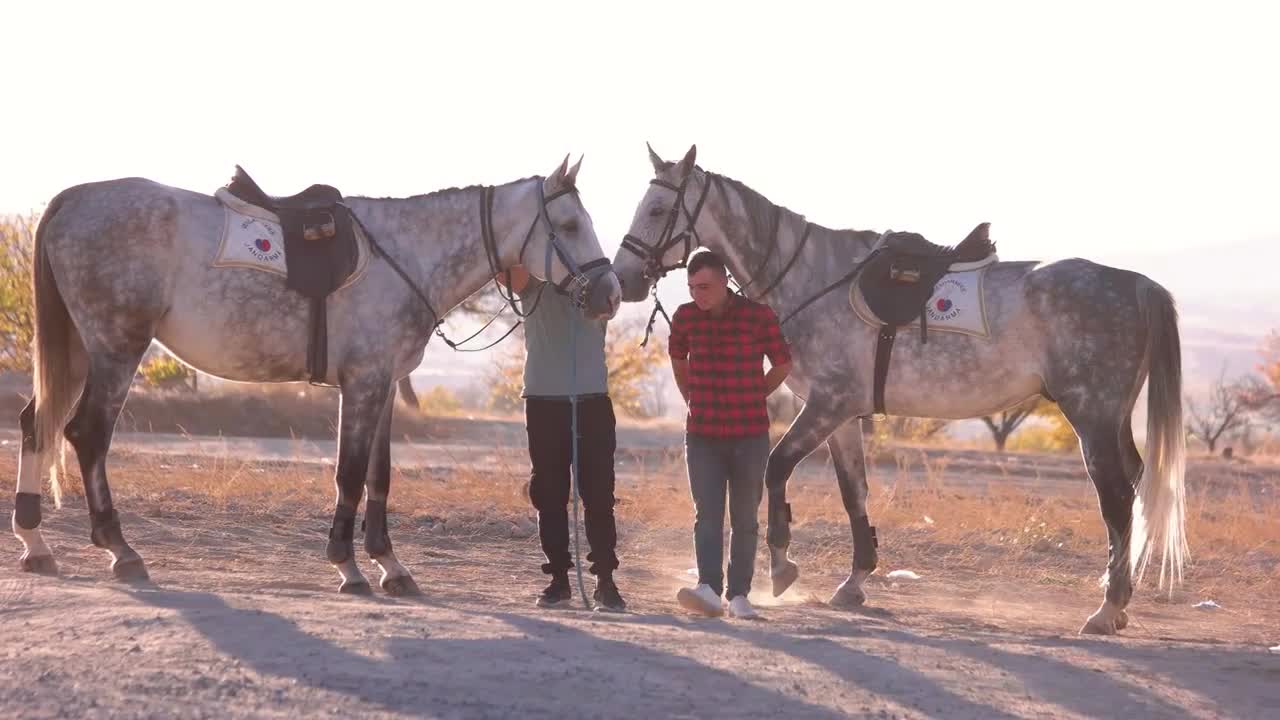 Goreme,Turkey. Two men preparing horses for ride