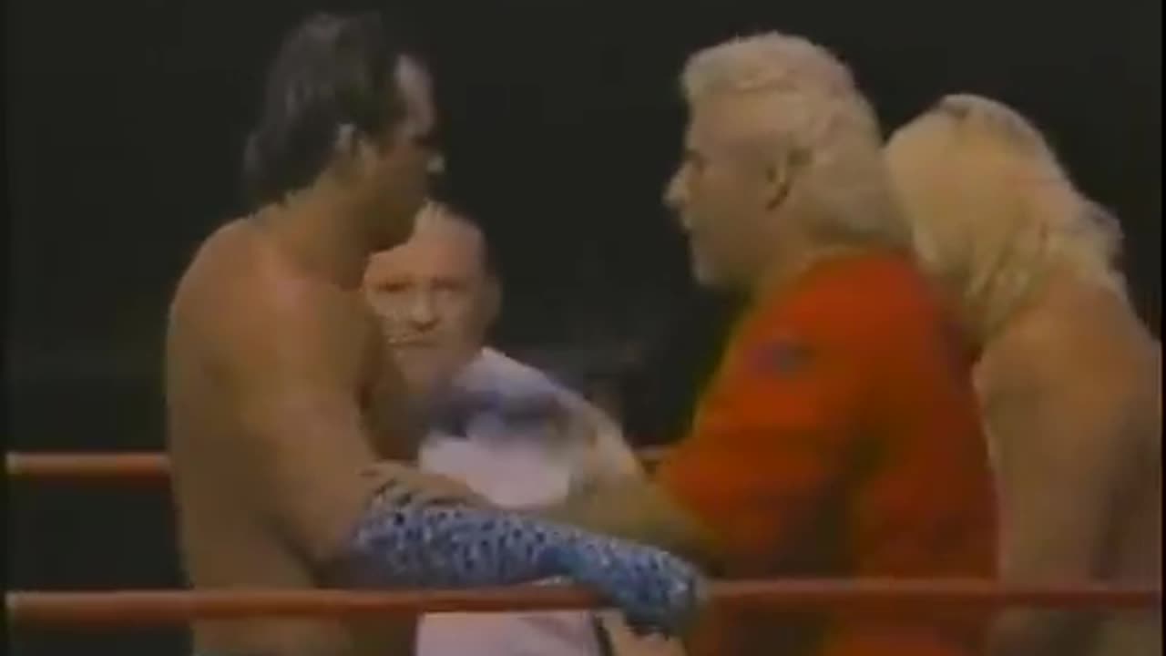 Brutus beefcake & Greg valentine vs. George wells & mike Saxton