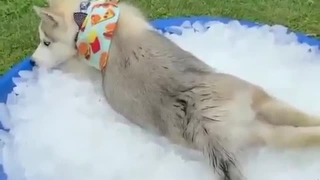 HOT TODAY ...