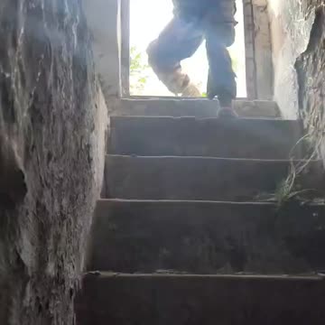 English heard in this footage, but fakes always possible.