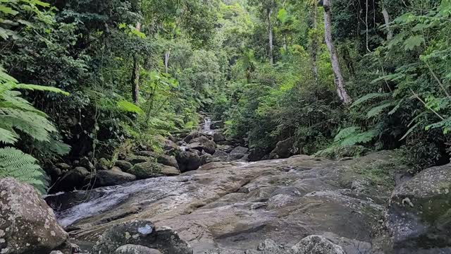 El Yunque National Forest