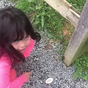 Grizzly Bear And The Worm