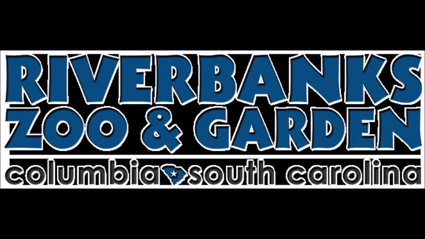 Columbia, SC River Banks ZOO & Garden 2020