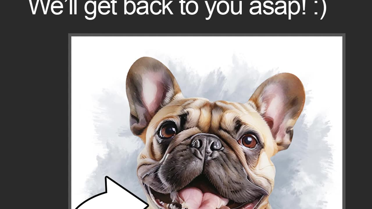Serious dog