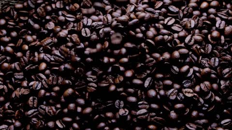 Testy coffee beans