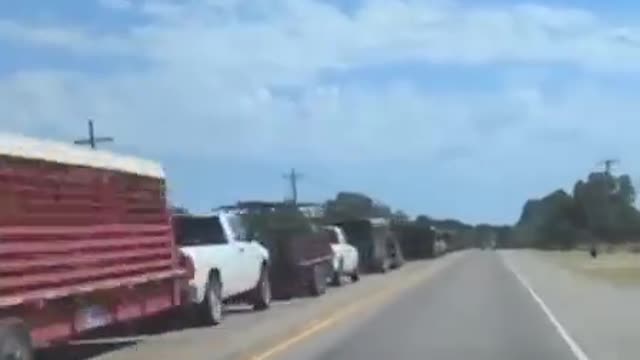 Drought in Texas is so critical that a huge number of farmers are forced to sell their livestock.