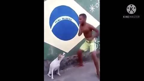 Perro bailando con su dueño