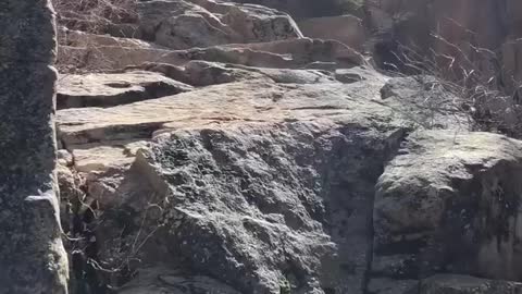 Running Springs, CA creek near our house