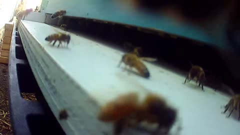 Somebody was ready for a close up!