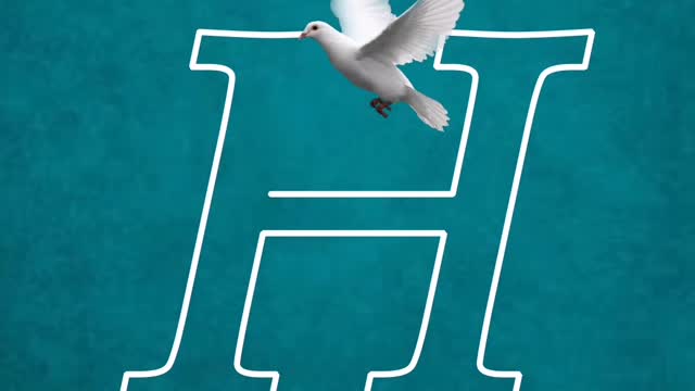 Video I made in the name of the bird