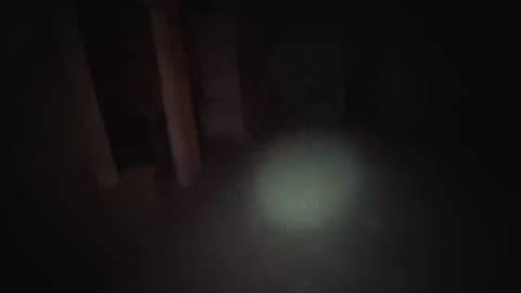 Haunted Mansion: The Secret of the Creepy Child