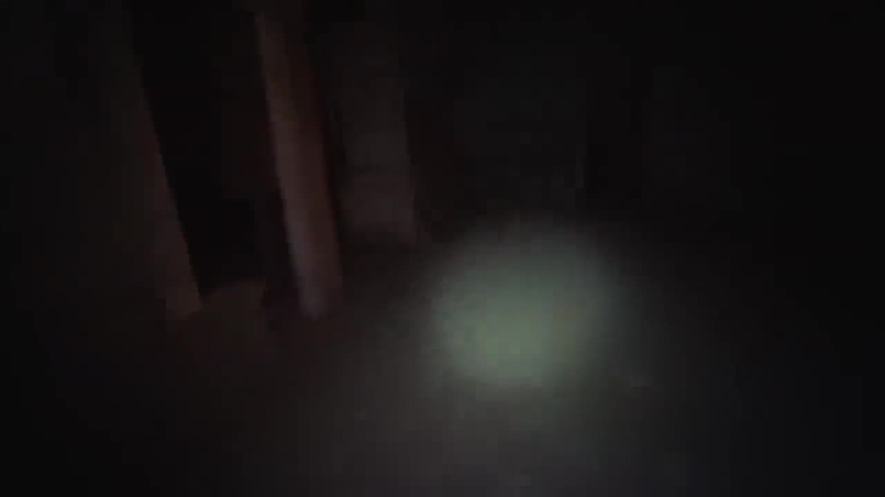 Haunted Mansion: The Secret of the Creepy Child