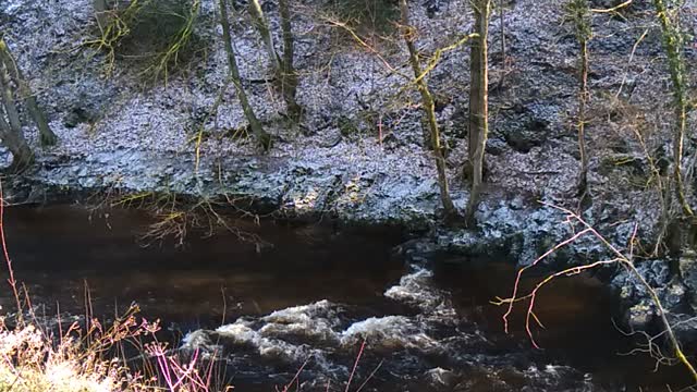 Etherow Country Park winter stroll