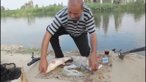 The Fun Of Brown Grape Fishing Is The Second Part Of Carp Fishing