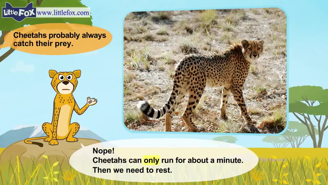 Meet the Animals | Cheetah | Wild Animals | Stories for Kindergarten