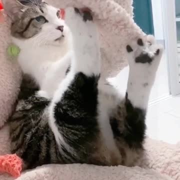 When I'm alone at home 😆