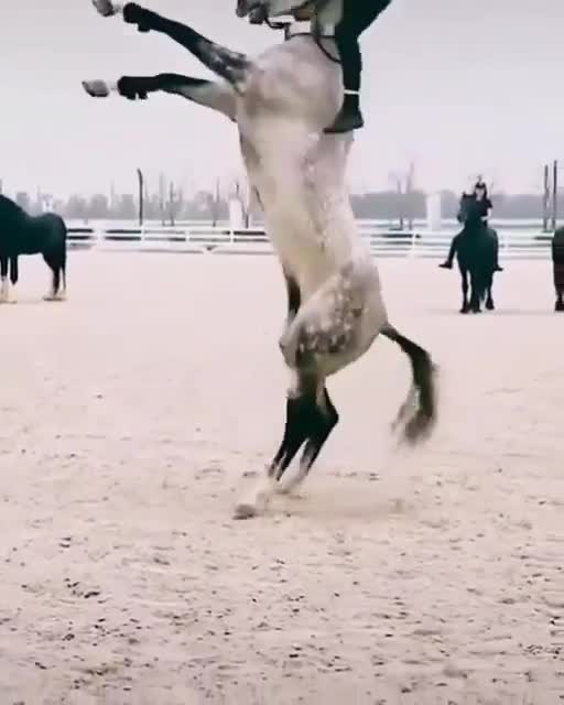 How to get on a horse the smart and easy way... 😉