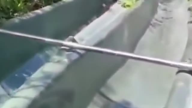 funny # funny video # watch and laugh again