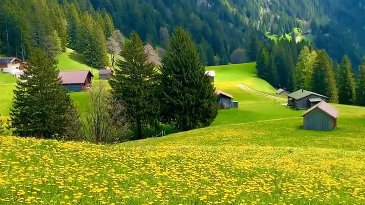 Beautiful Switzerland 🇨🇭🇨🇭 💗 1 Like & Follow please 🙏😊